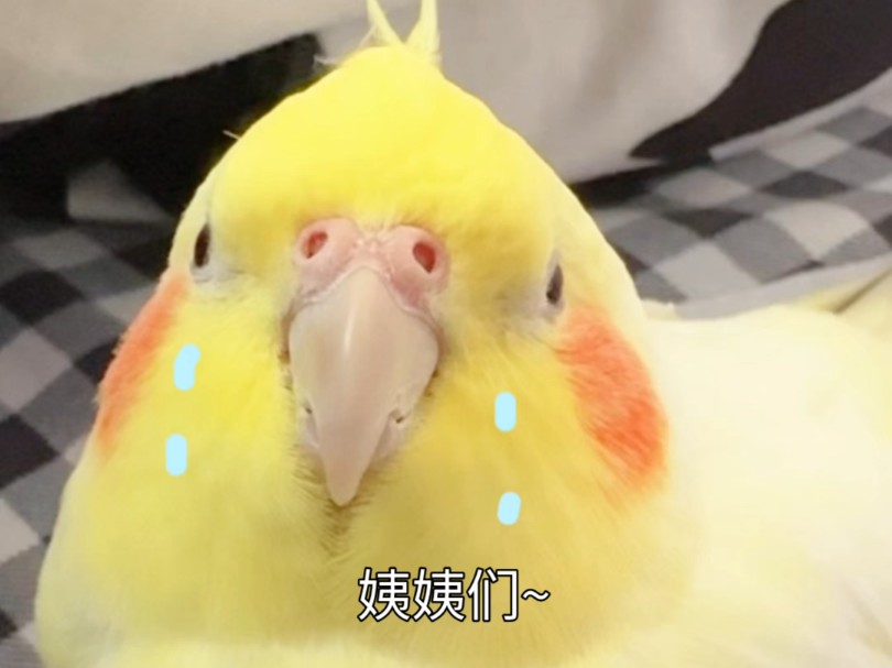 妈妈坏！宝要离家出走！！！！！！