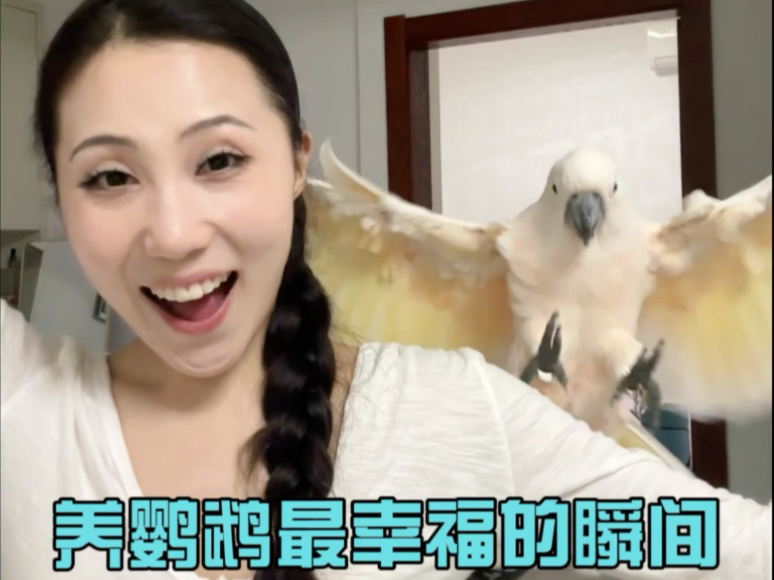 养鹦鹉最幸福的瞬间就是……